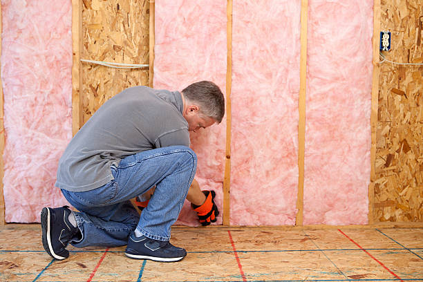 Best Wall Insulation Installation  in Stroville, CA